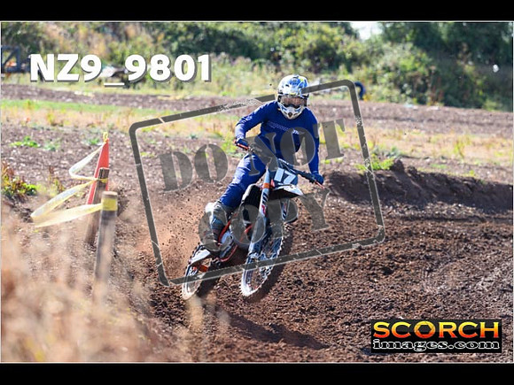 Experts-016