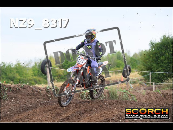 Experts-012