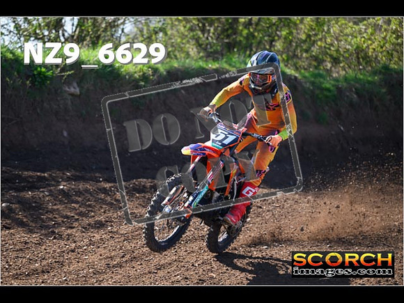 Experts-119
