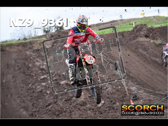 Intermediates-175
