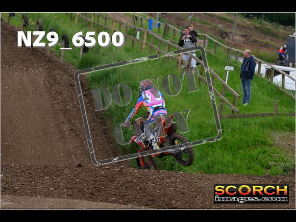 Experts-308
