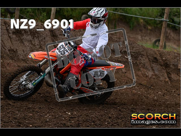 Experts-030