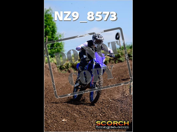 IntersGreenOrange-239