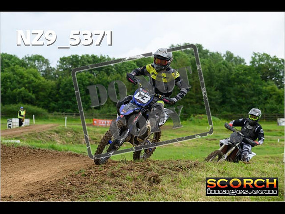 Experts-306