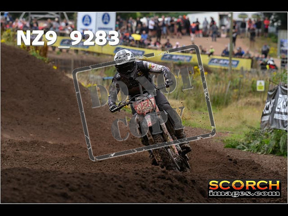 MX1-231