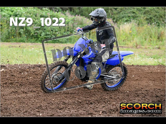 IntersGreen-038