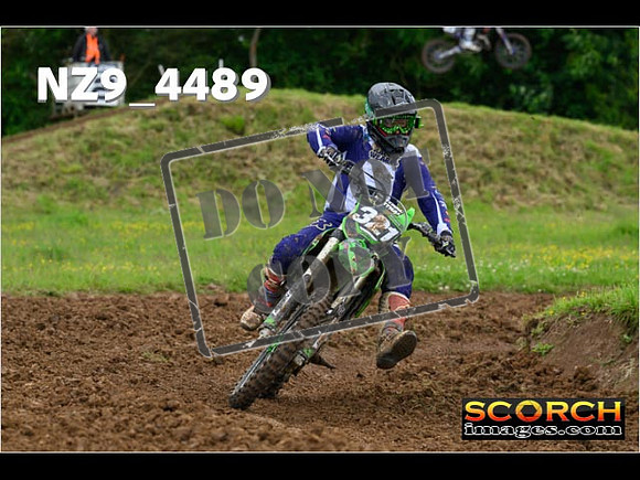 Experts-206
