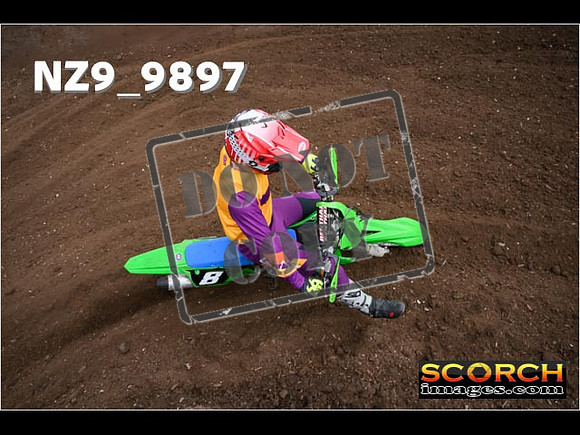 Experts-117