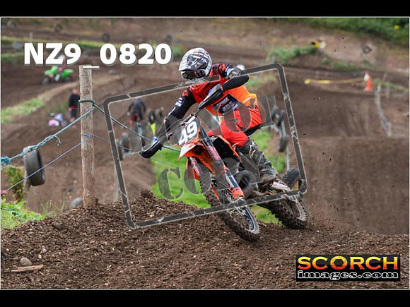 Experts-088