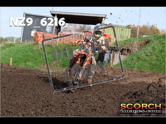 Experts-160