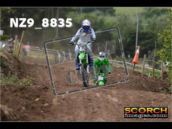 IntersGreen-095
