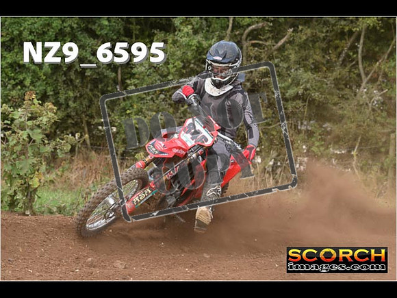 Experts-301