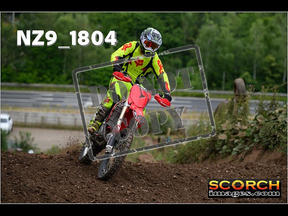 IntersGreenOrange-058
