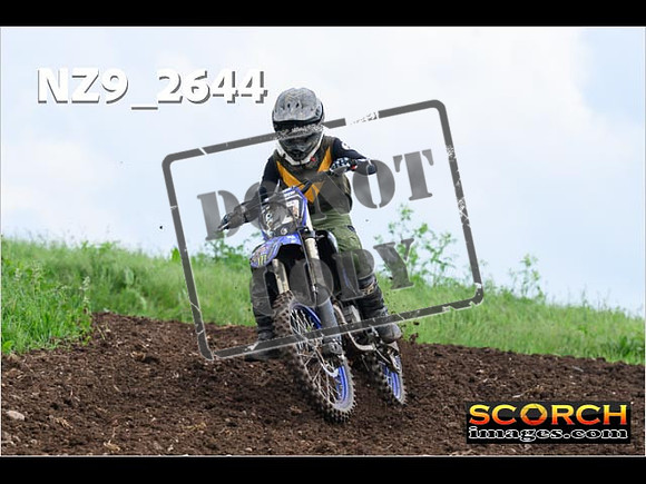 Experts-090