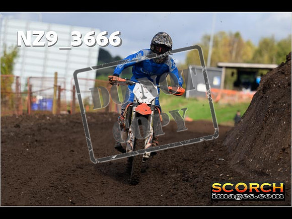 Inters-445