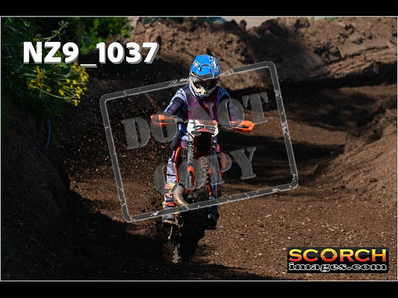 Experts-115