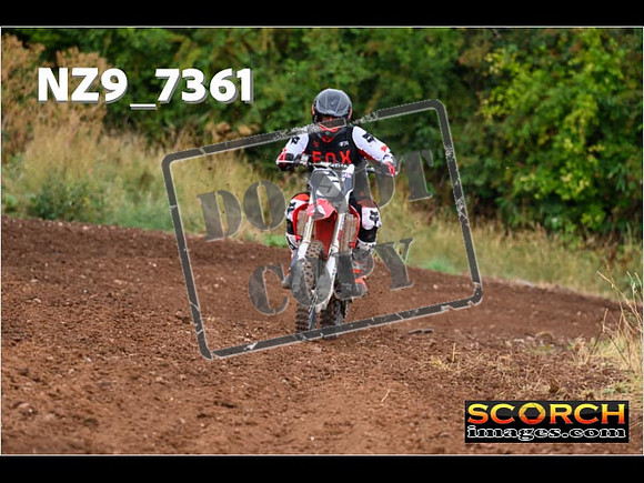 Red- Over 60-245