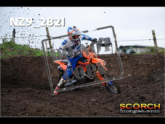 Experts-045