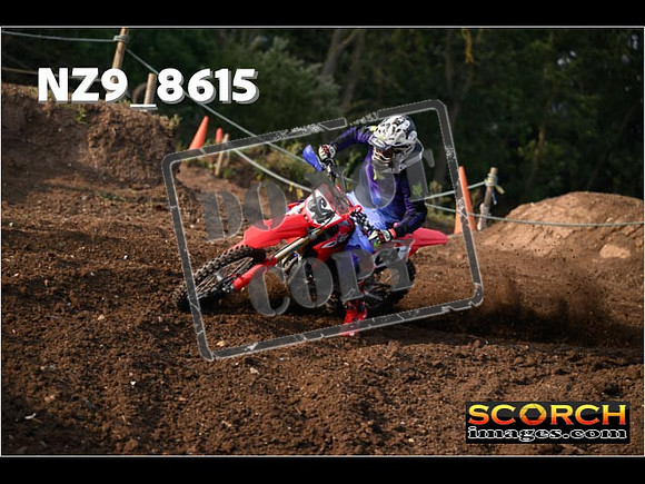 Experts-024