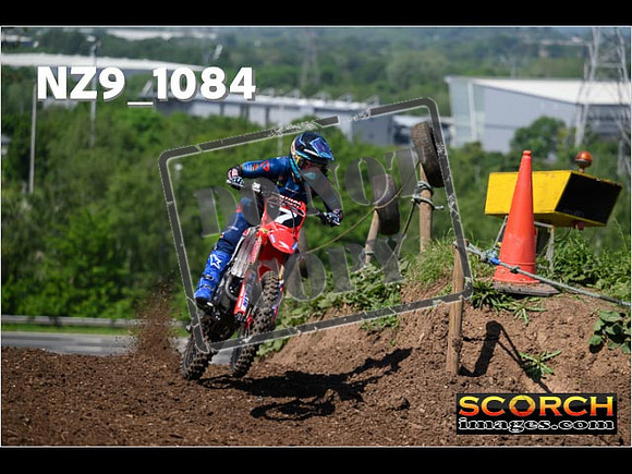 Experts-160