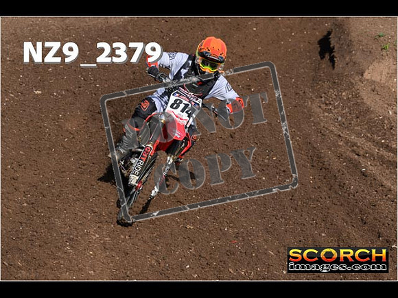 Experts-036