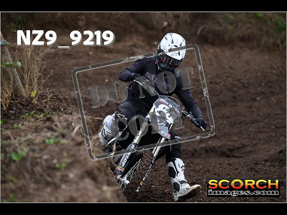 Experts-028