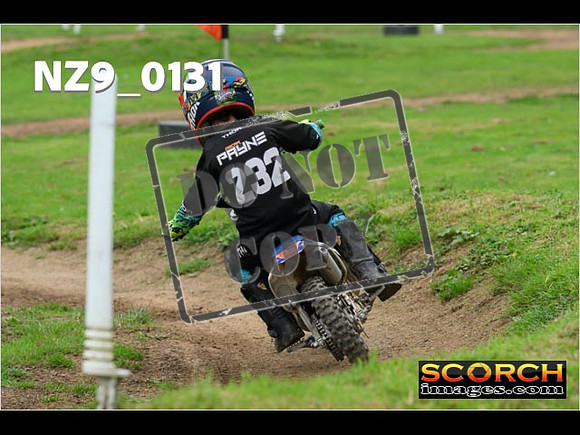 PeeWee Track-48