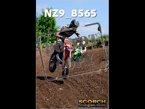 IntersGreenOrange-231
