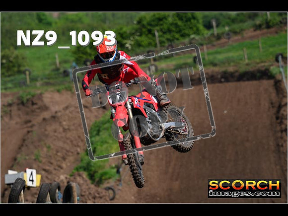 Experts-169