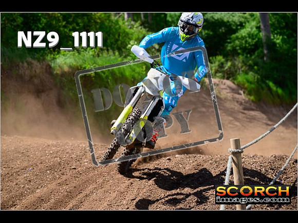 Experts-134