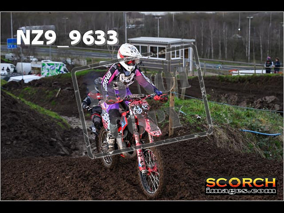 Intermediates-316