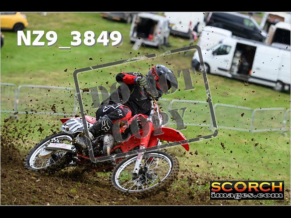 Experts-043
