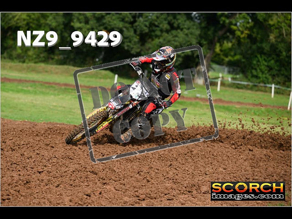 Experts-091