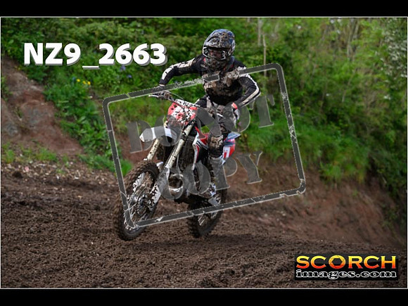 Experts-126