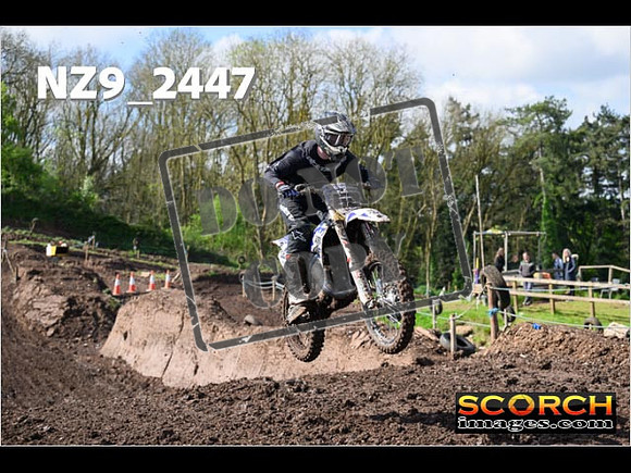 Experts-041