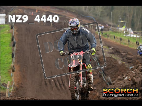 Experts-281