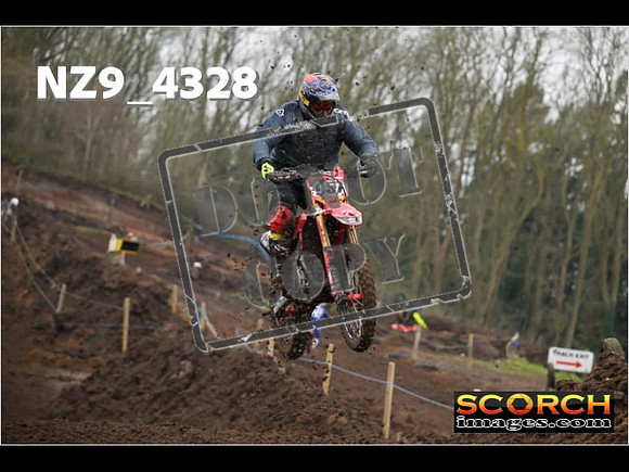 Experts-175
