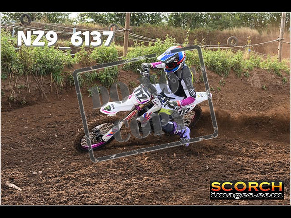 Experts-052