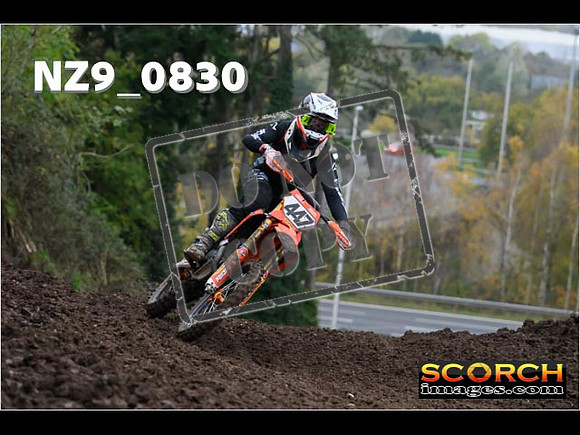 Experts-131