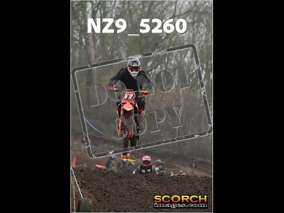 Experts-119