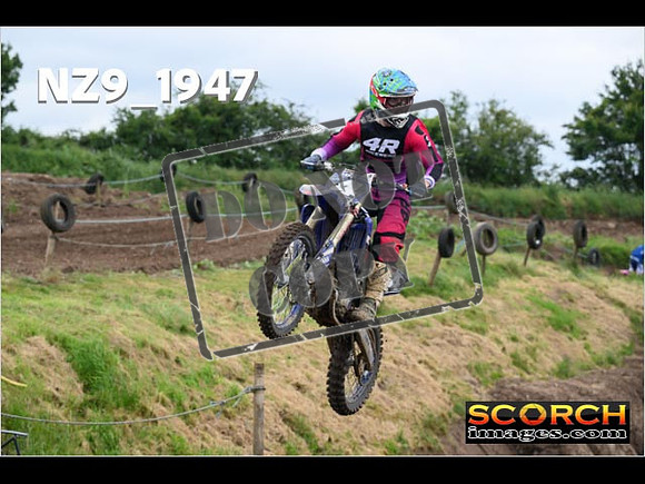 Experts-166