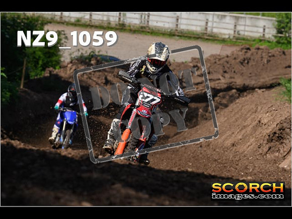 Experts-137