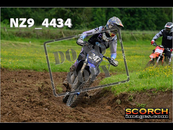Experts-153