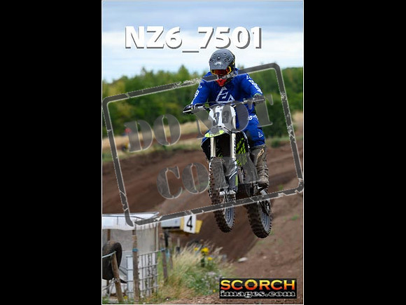 IntersGreen-047