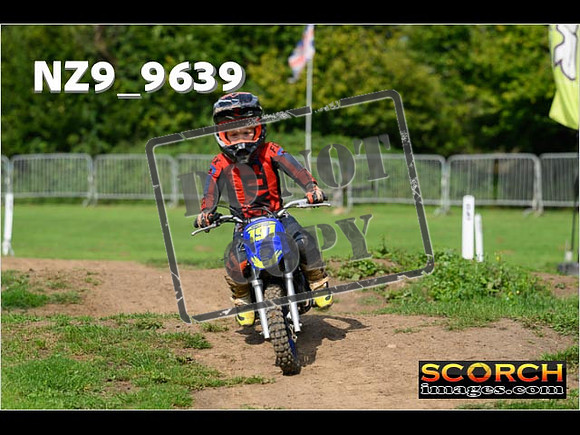 PeeWee Track-08