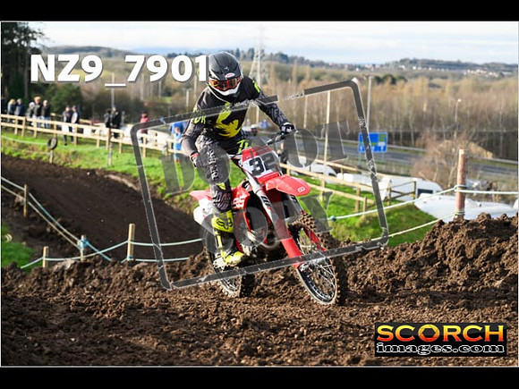 Experts-115
