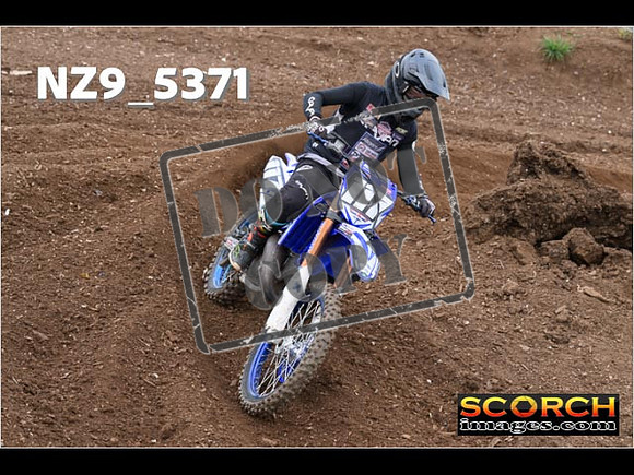 Experts-147