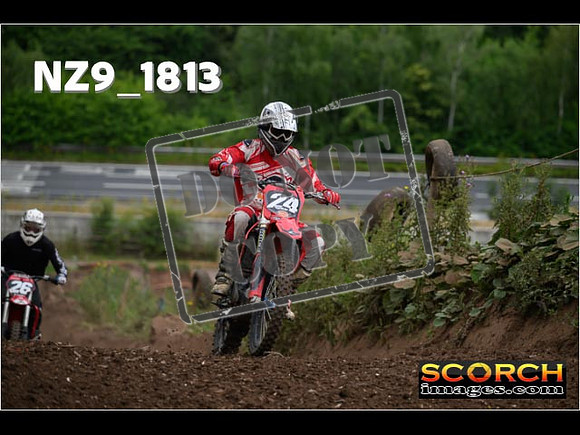 IntersGreenOrange-066