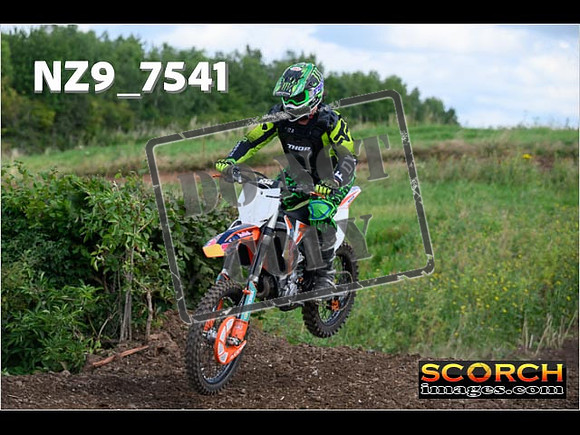 IntersGreenOrange-029