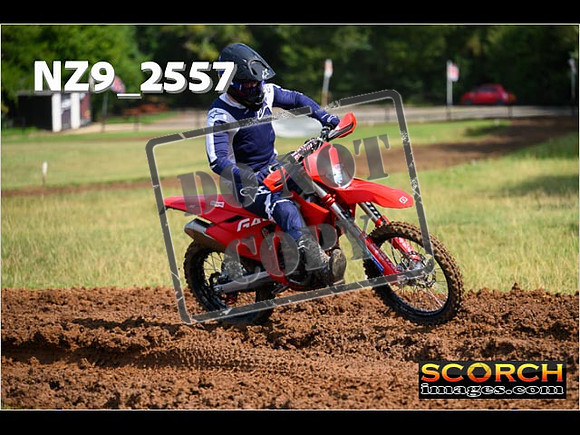 Experts-119